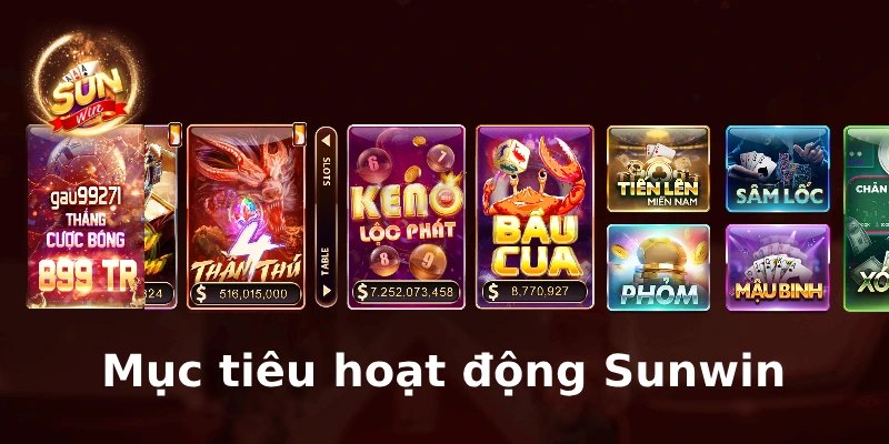 Định hướng hoạt động tương lai